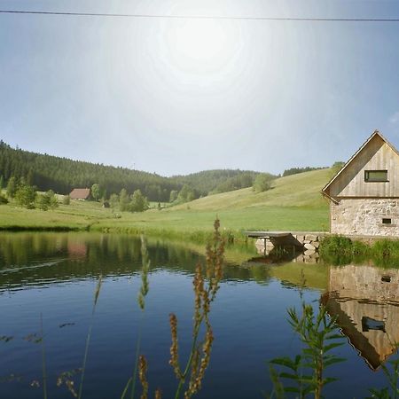 Ferienhaus Im Schwarzwald Am See "Backhaeusle" Villa Hornberg Eksteriør bilde